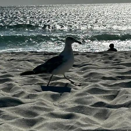 Encanto Dunas Aveiro