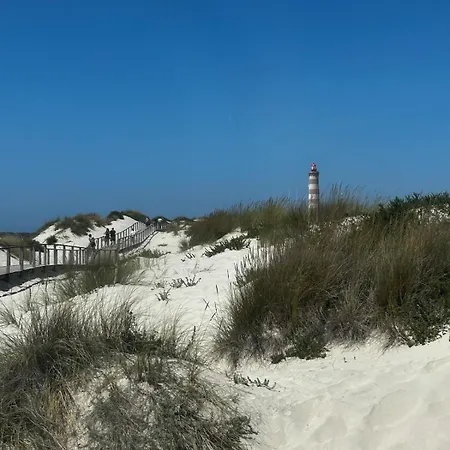 公寓 Encanto Dunas Aveiro 噶凡哈达纳扎雷