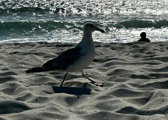 Encanto Dunas Aveiro